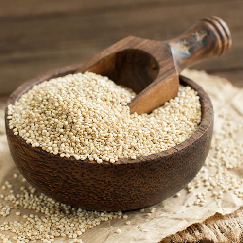 Largest Agro Products Supplier, Dealer and Distributor in Maharashtra India.jpg