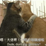 ezgif 1 00424e4aa0.gif
