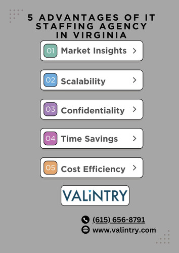 it staffing agency in Virginia.jpg