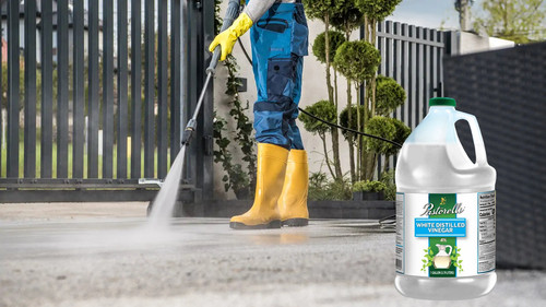 cleanup2404.jpg