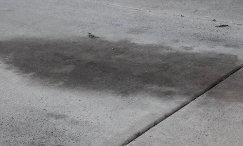 cleanup2401.jpg