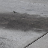cleanup2401