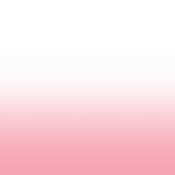 Untitled2351 20240805232712