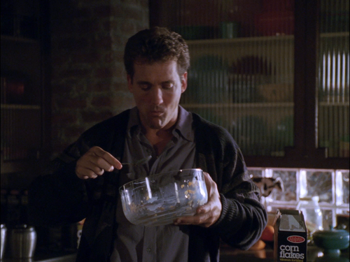 482216474 the flash 1990 s01e05 double vision 1080p bluray flac2 0 h 264 btnhdencode scree.png
