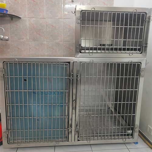 Verified medical equipment and instruments manufacturer, Supplier and Exporter in Mumbai.jpg