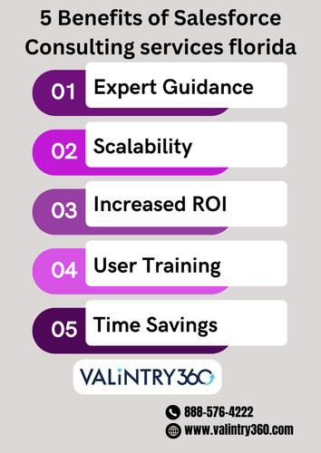 Salesforce Consulting services florida.jpg