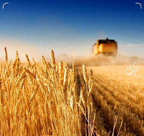 TN3UNpvswztT9n1 epS6uEikeDgor5EYFH 3glXYOCcS3t7lD1CAQtmeOnis9ry27PYUhvqUVcLtx3VKAN0o8WGqviTGqODk3 Mb.jpg