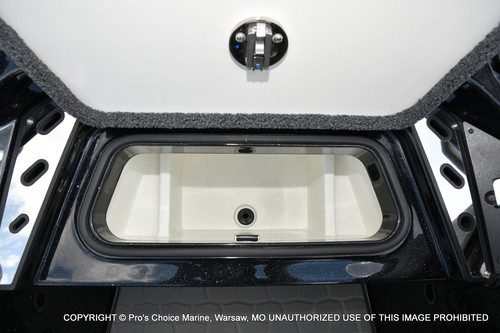 DSC 4231