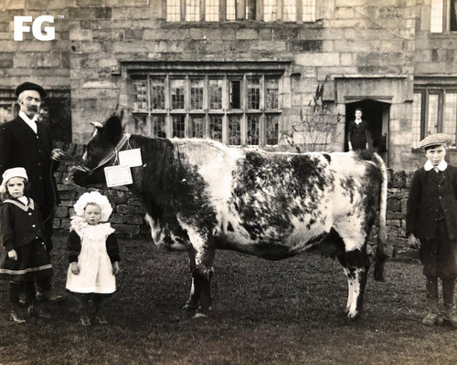 GW3l odWIAAGyKt?format=jpg.jpg