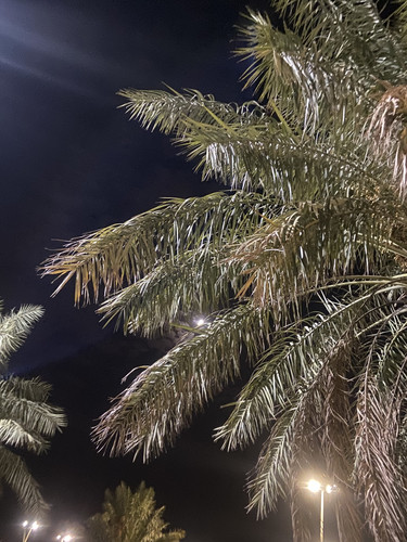 9EF2B7B0 13CB 4CBC 91A1 EB73D0571D74.jpg