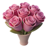 rose flowers