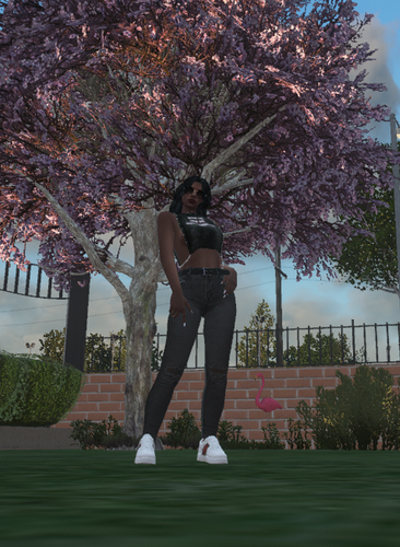 Screenshot 2024 09 07 171813.png