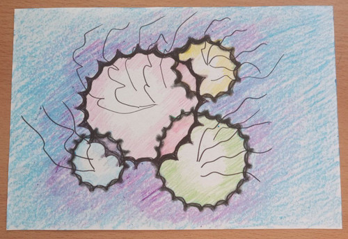 1725722856 148963322.jpg