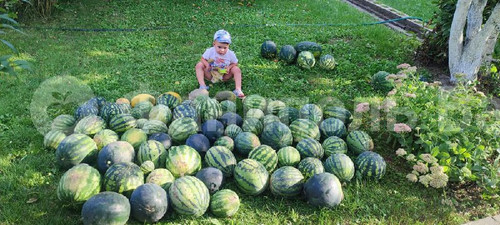 aYdOzDyUle8C23kwy0FbSQU7KdeZvN67cr9d7fd7LwD5WxR OlnhSwpsrrtVFGueLhPX1BYuKhl79QuPuAYguhr6XVx4GUzTCROe.jpg