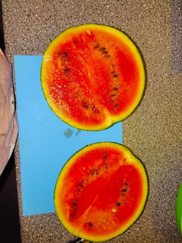 FURpuWTppRgSUh6t7Go5cJgrkycviGxhNGljixONU xQIjWUpMIjFaR37rmpuLgxCIaVCwCLI0Bdy66ZA6fQYL23L1YcGfhJrs A.jpg