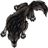 Lobo 1