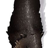 Javali
