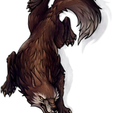 Lobo