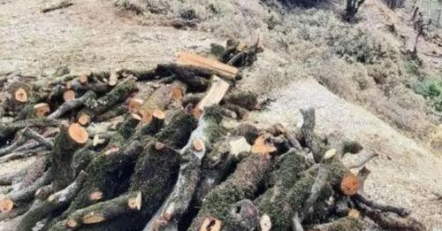 6985749602077420977?url=https%3A%2F%2Fcdnimpuls.com%2Fpiranjat.al%2Fmedia3%2F 1200 630 bd0a84e094066.jpg