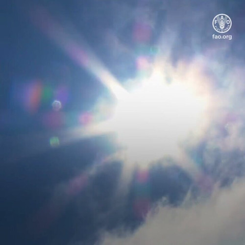 DcV5eb9mP EUfRL1.jpg