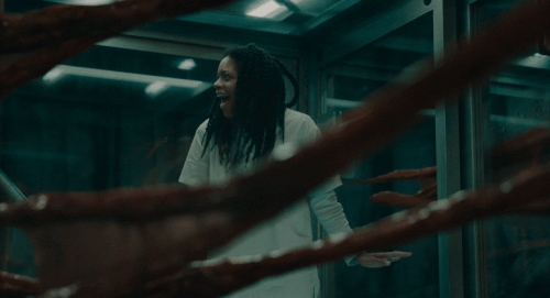 v2 354.gif