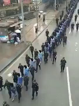 TrKt 6MQK2uiarm7.jpg