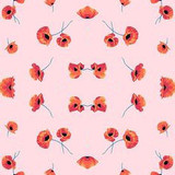 6c17795c9718c2a4efe41167648eea01