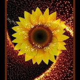 03c8fa7d3b94095e28e64731c3e1e755