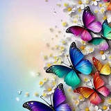 e004a80df1e36bac381dc5b74bdecd96