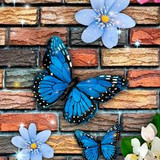 684f61264b9b9f320d0bc8c1e18d1929