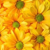 b311ea762cd95e550ea05c94b57ccff4