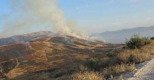 13314217722297072527?url=https%3A%2F%2Falbeu.com%2Fwp content%2Fuploads%2F2024%2F09%2FIMG 1689.jpeg&.jpg