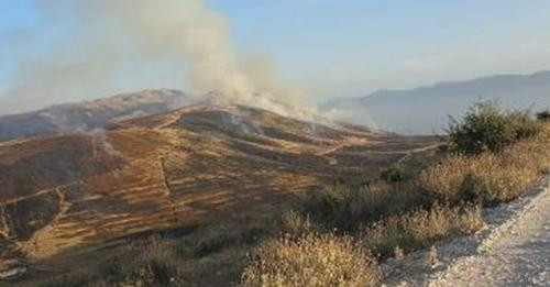 5774654543862369375?url=https%3A%2F%2Fmedia.oranews.tv%2Foranews.tv%2Fmedia3%2F 1200 630 51d1d84e6d4.jpg