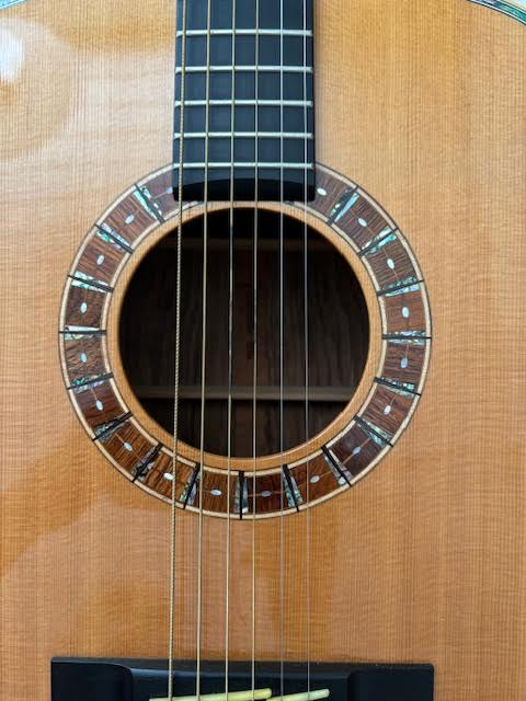 Brazilian Takamine 375SS.jpg