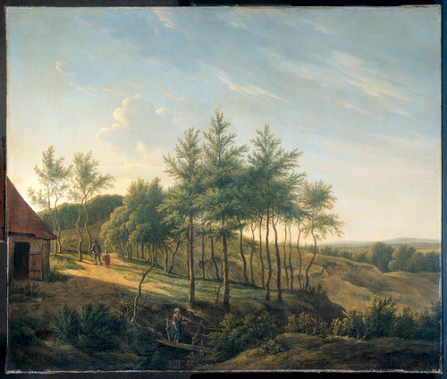 Michaelis, Gerrit Jan Холмистый ландшафт, 1814, 51 cm х 61 cm, Холст, масло