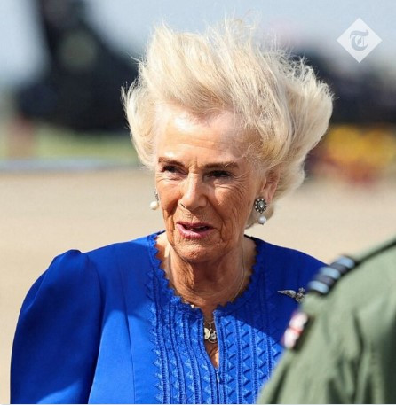 458965922 377704445384692 8642632537817805411 n.jpg? nc cat=101&ccb=1 7& nc sid=127cfc& nc ohc=O7bFz.jpg