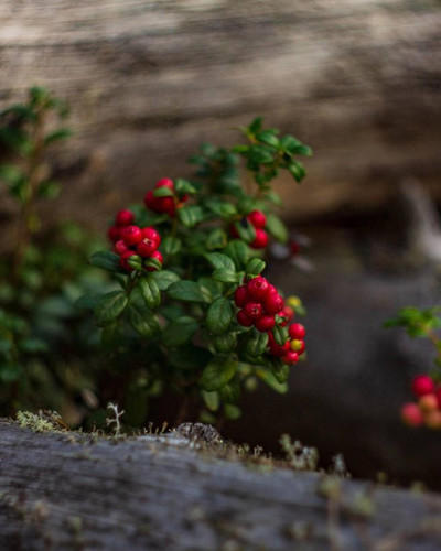 SsaKaXNXiu9A15JzJdzW1qpPg85jWMVJj Isr6jOZCQmeIDHJtlZnRtbQuv1CGiHO1HkT62cBxvHhs0I6GDT8x5gkQxsCZ0Ecnvb.jpg