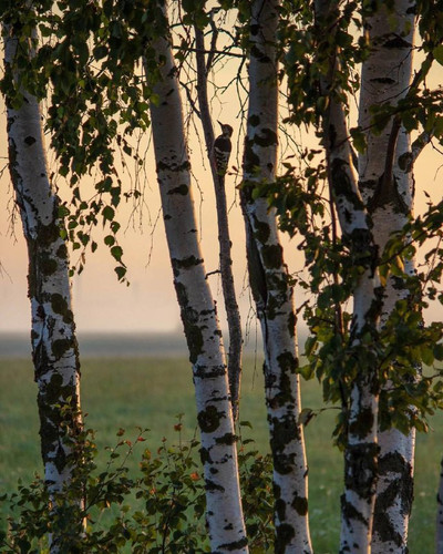 hEFlesTrWXYsS7dd2X9wldFjYSRqYtdajwmhLpWhEz 1NwngOn9dkWAW 5xEzqtlVXIn0SNydFeDR9EBO0xHJGwQoYNK v5 lEtQ.jpg