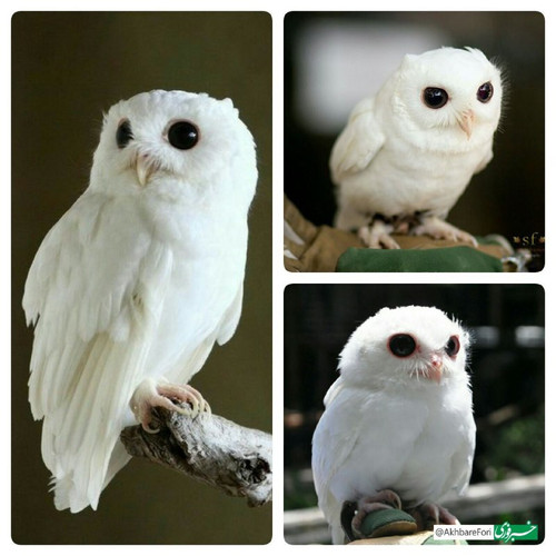 OcWucJj2DfGvzmrlbL5jp7aQk0LBlfqm2t PpV3q 2OFEx96hyXct55mhptXM829DglDnbz57 0S77gaPtX4wHq1vDIGrDZp csh.jpg