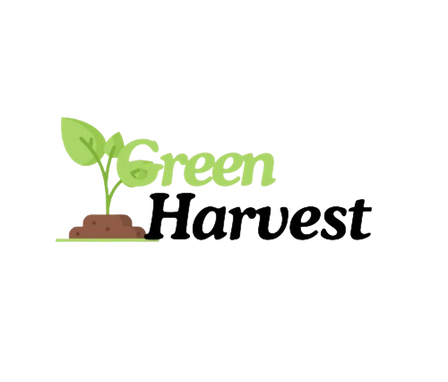 Green removebg preview (1).png