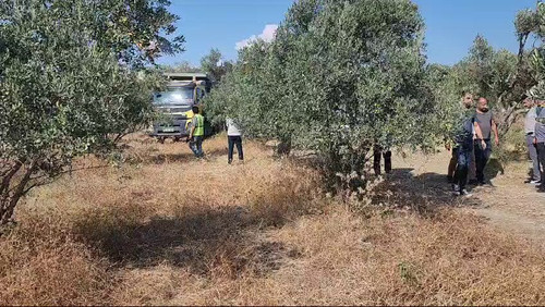 OHyFkQduFJLdurS .jpg