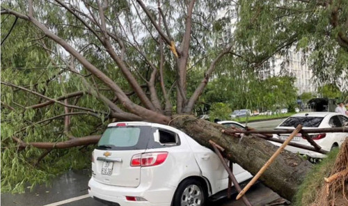 459030139 377751462046657 428142592238955122 n.jpg? nc cat=107&ccb=1 7& nc sid=127cfc& nc ohc=nbpewK.jpg