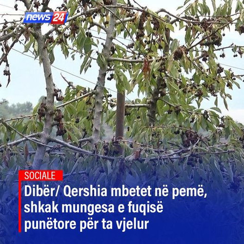 458666889 931502242350070 2712230238545775637 n.jpg?stp=dst jpg p526x296& nc cat=110&ccb=1 7& nc sid.jpg