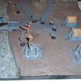 DSC01774