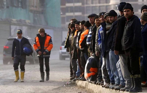 rYWlSv4uYssBWKnrIU7C60RqJcGVqfz5Ol48cLAPXbY0h9OEPXXNsIX8PcGuzrKV6IFVo3GORey380m1aH3TBnz D44MVfJ1op7L.jpg