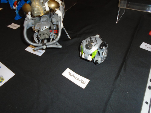 DSC01791.jpg