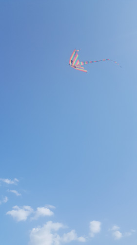 20180803 182739.jpg