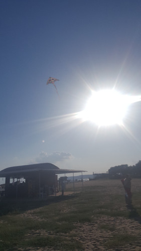 20180803 182814.jpg