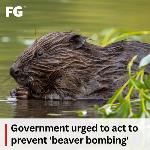 GW9LGwRWgAAZ Z8?format=jpg.jpg