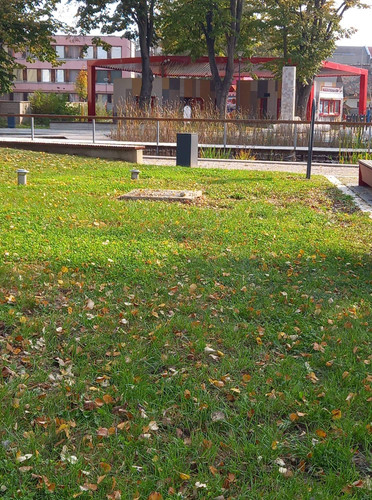 IMG 4266.jpg